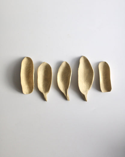 Chasaji - Japanese tea scoop