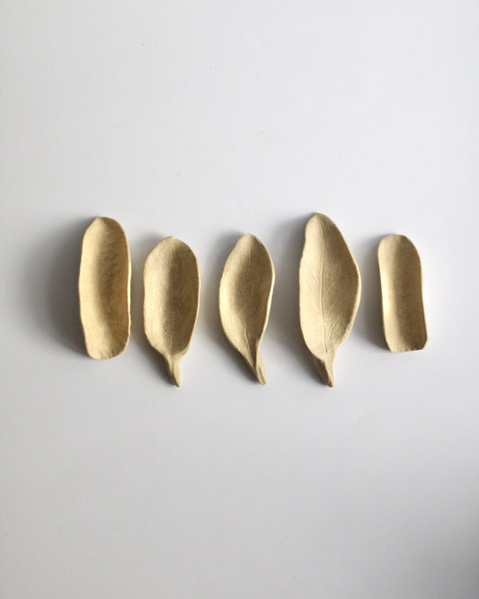 Chasaji - Japanese tea scoop
