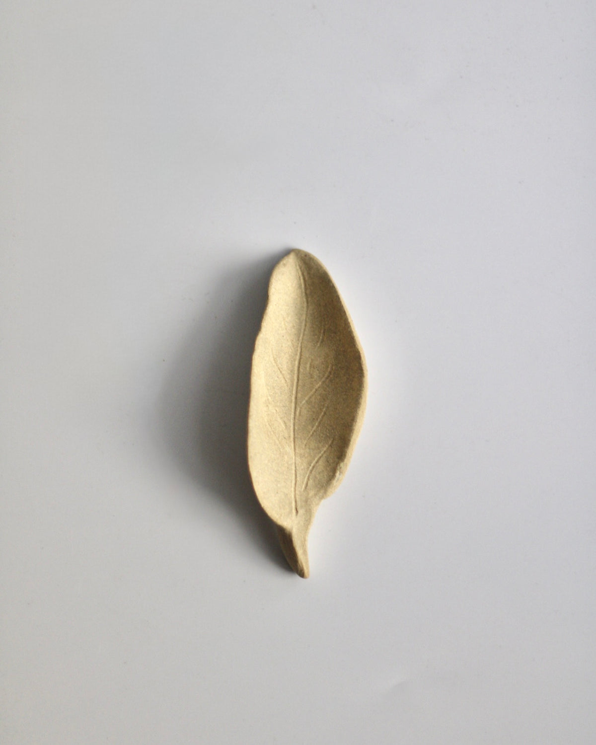 Chasaji - Japanese tea scoop