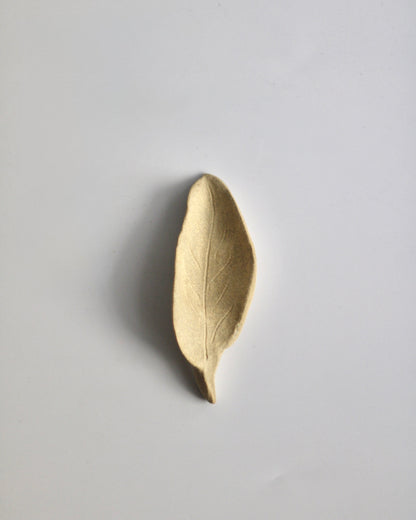 Chasaji - Japanese tea scoop